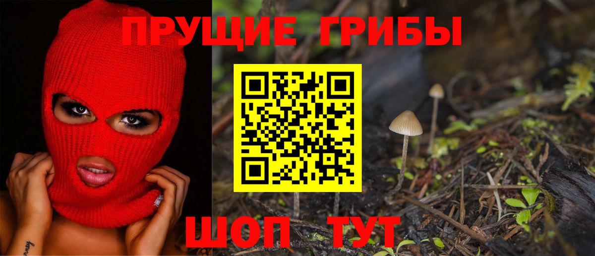Псилоцибиновые грибы Cubensis Красный Сулин