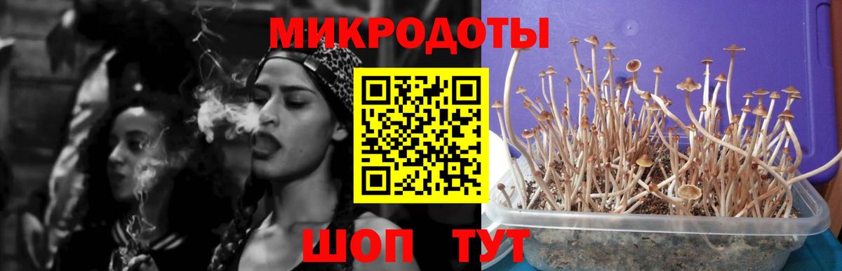 Красный Сулин  Галлюциногенные грибы MAGIC MUSHROOMS  Вход с VPN 